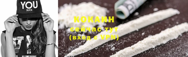 ПСИЛОЦИБИНОВЫЕ ГРИБЫ Барнаул
