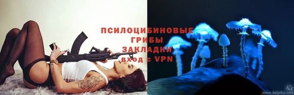 ГАЛЛЮЦИНОГЕННЫЕ ГРИБЫ Ижевск