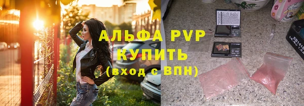 ПСИЛОЦИБИНОВЫЕ ГРИБЫ Барнаул