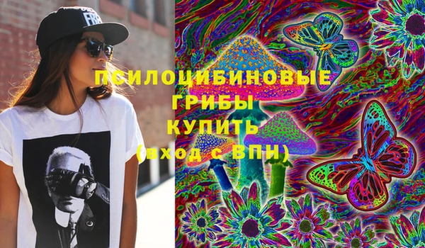 ПСИЛОЦИБИНОВЫЕ ГРИБЫ Барнаул