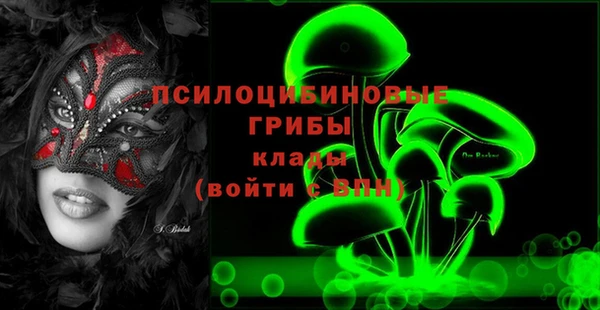 ПСИЛОЦИБИНОВЫЕ ГРИБЫ Барнаул
