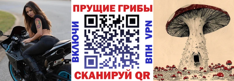 кракен как зайти  Александровск  Галлюциногенные грибы MAGIC MUSHROOMS 